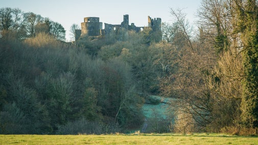 A winter's view through the trees towards Dinefwr Castle on the hill beyond at Dinefwr, Carmarthenshire